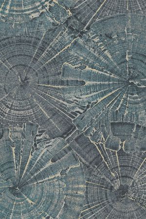 女装印花华亿平台图片