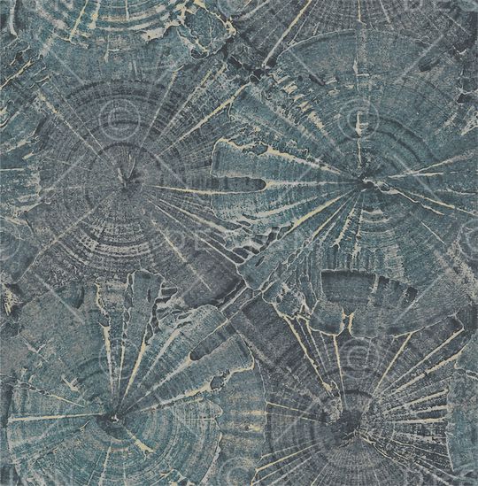 女装印花华亿平台图片