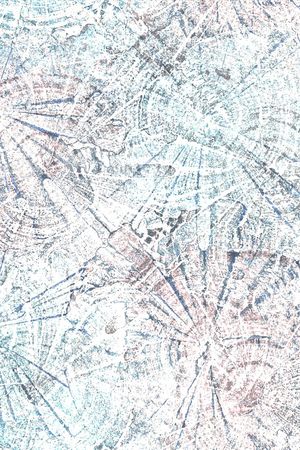 女装印花华亿平台图片