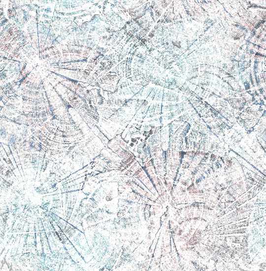 女装印花华亿平台图片