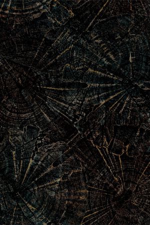 女装印花华亿平台图片