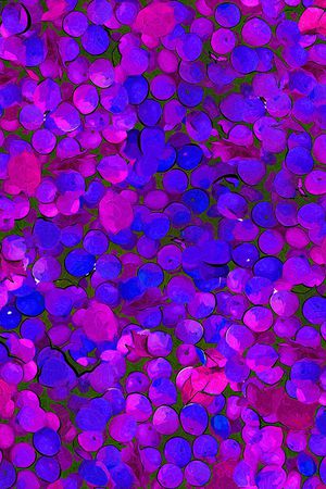 水果印花华亿平台图片