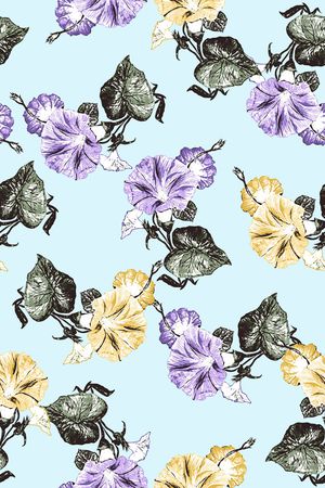 牵牛花印花华亿平台图片