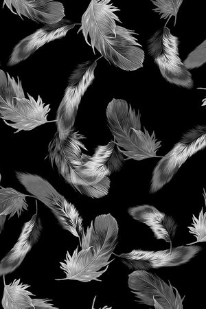 羽毛印花华亿平台图片