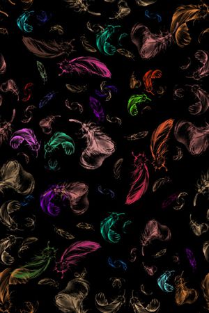 羽毛印花华亿平台图片