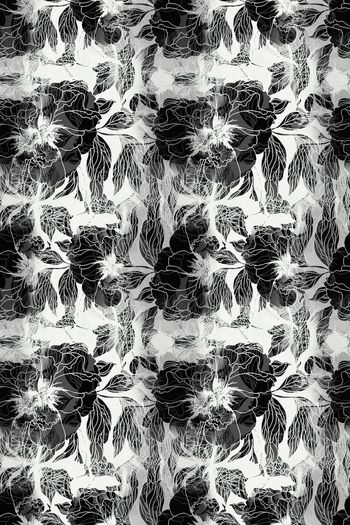 1159585-181216-nzhh-5-00