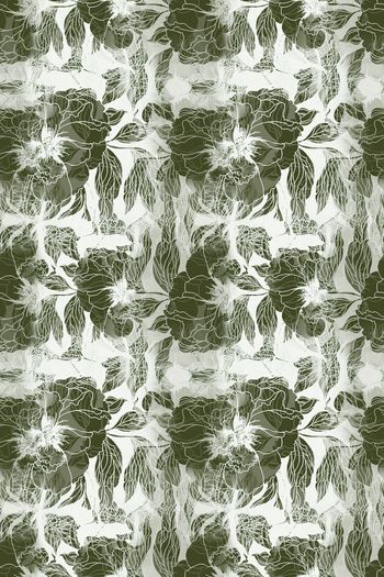 1159587-181216-nzhh-5-2