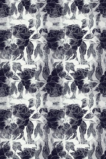 1159589-181216-nzhh-5-3