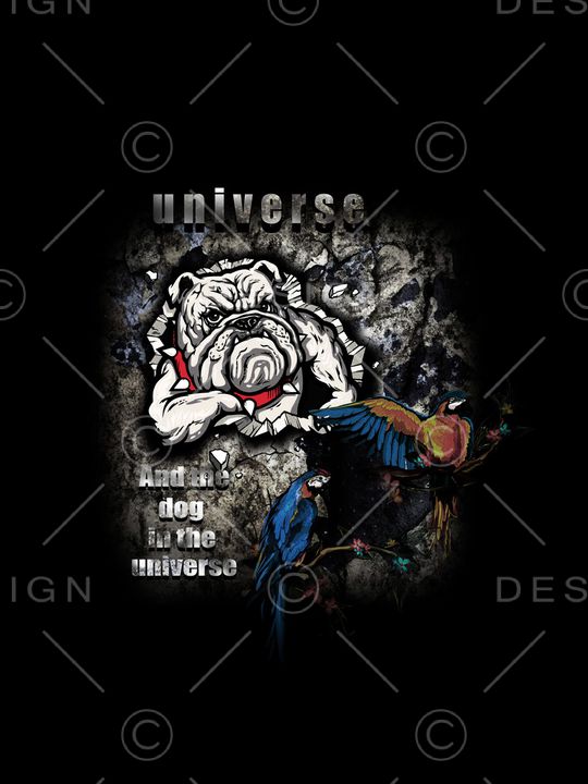 鹦鹉印花华亿平台图片