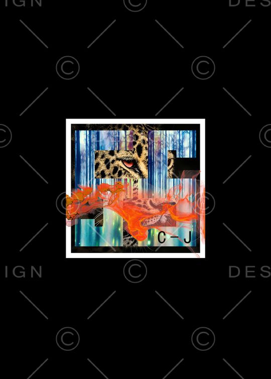 豹子印花华亿平台图片