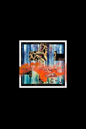 豹子印花华亿平台图片