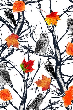 鸟/昆虫印花华亿平台图片