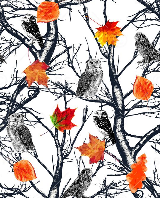 鸟/昆虫印花华亿平台图片