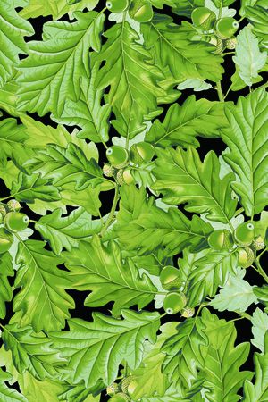 黑底花卉印花华亿平台图片