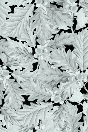 黑底花卉印花华亿平台图片