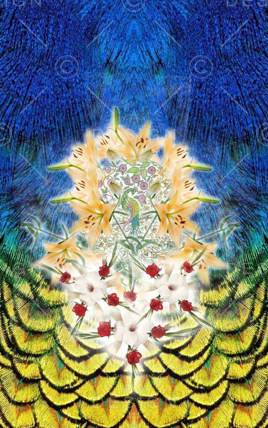 羽毛印花华亿平台图片