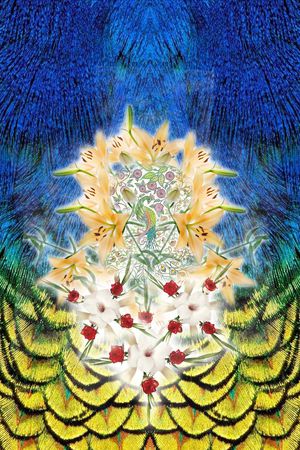 羽毛印花华亿平台图片