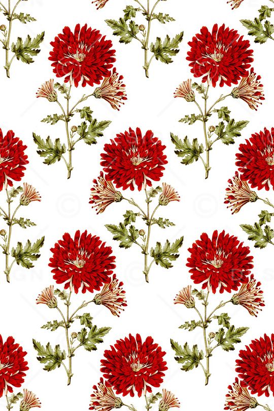 手绘大花印花华亿平台图片