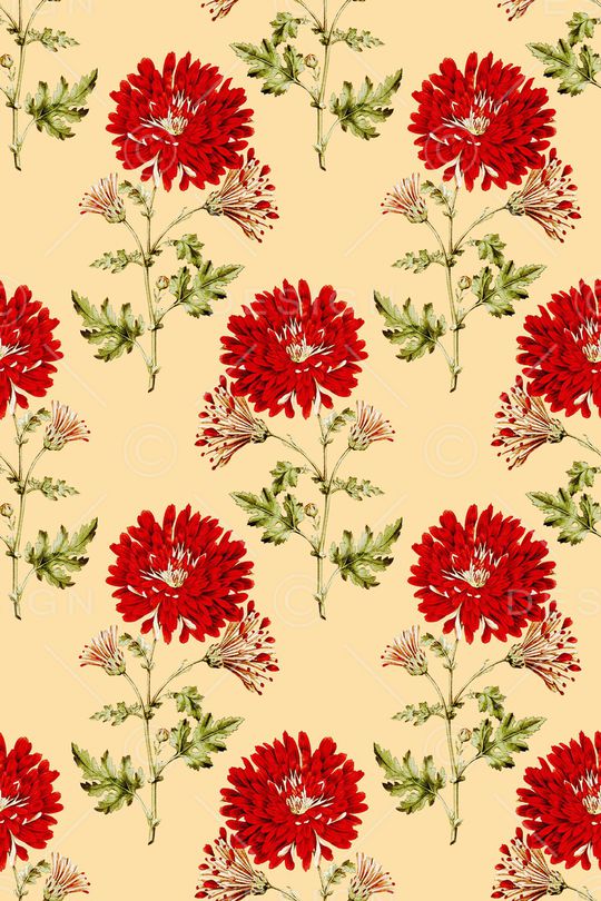 手绘大花印花华亿平台图片