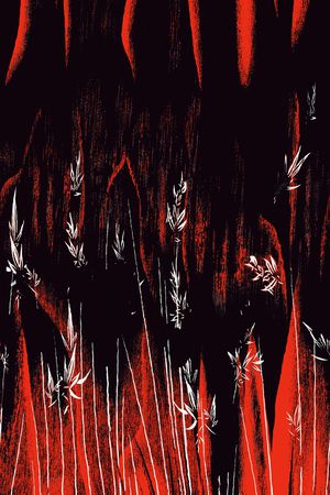 大牌风印花华亿平台图片