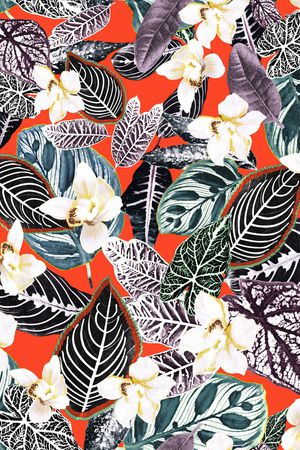 大牌风印花华亿平台图片