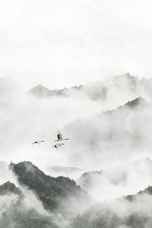 仙鹤印花华亿平台图片