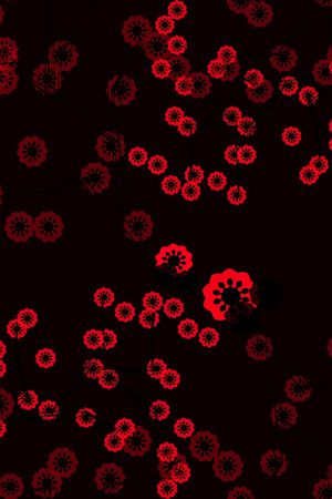 大牌风印花华亿平台图片