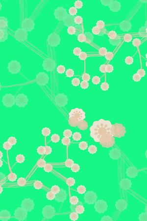 大牌风印花华亿平台图片