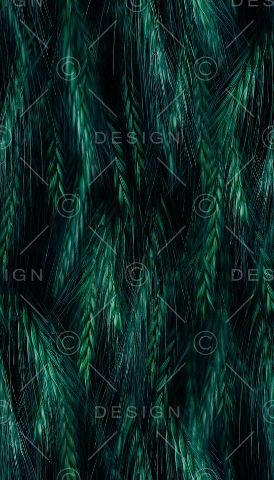 女装印花华亿平台图片