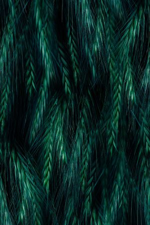 女装印花华亿平台图片