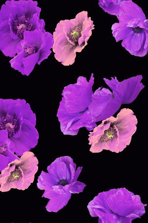 欧洲印花华亿平台图片