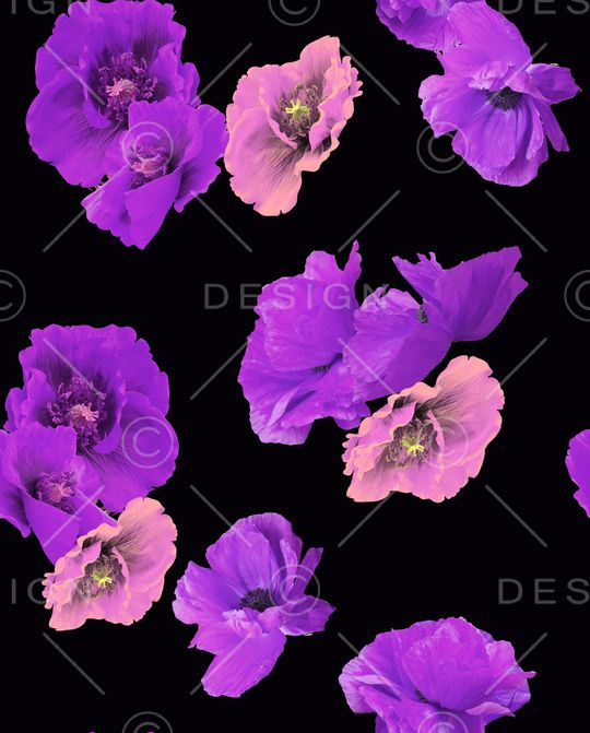 欧洲印花华亿平台图片