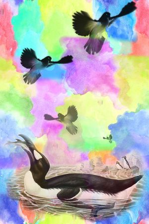 动物印花华亿平台图片