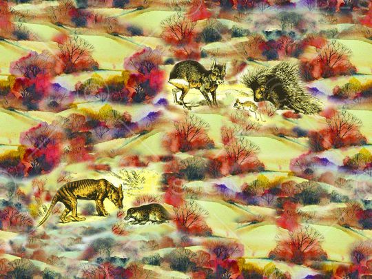 植物印花华亿平台图片