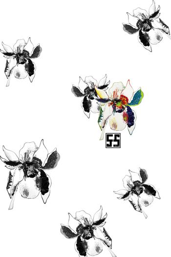 1162241-CJ-18 (206)2