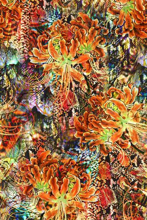 女装印花华亿平台图片