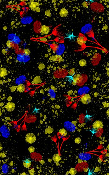 满版散花印花华亿平台图片