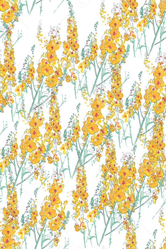 花瓣印花华亿平台图片