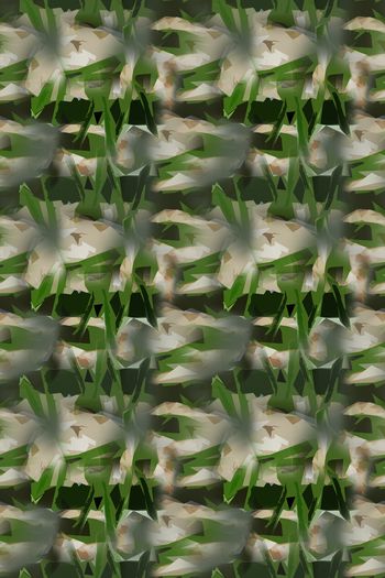 1162896-181224-艺术迷彩-3-3