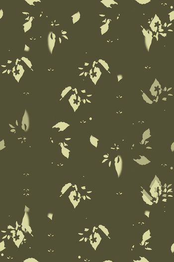 1163012-181224-nzhh-1-00