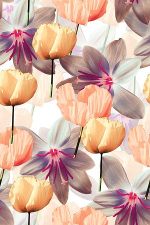 大花印花华亿平台图片