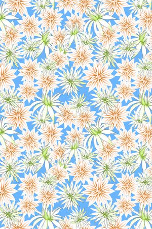 春夏华亿平台印花华亿平台图片