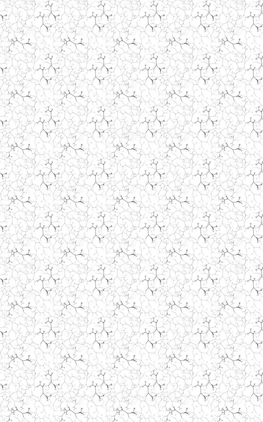 春夏华亿平台印花华亿平台图片