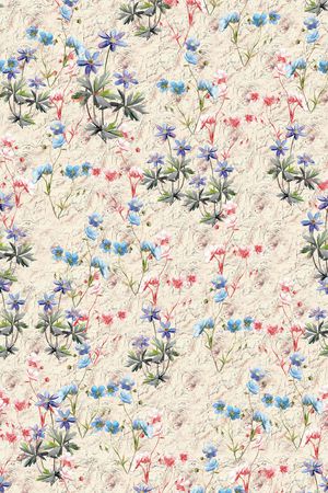 少女印花华亿平台图片