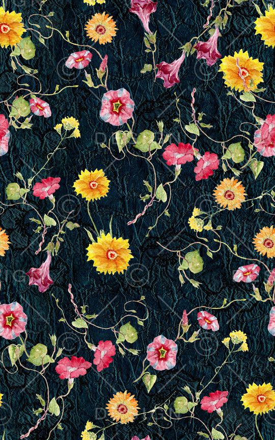 少女印花华亿平台图片