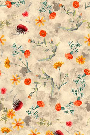 少女印花华亿平台图片