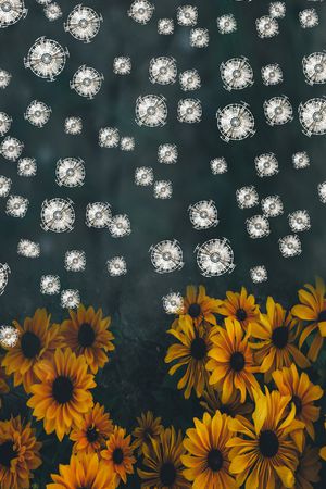 深圳印花华亿平台图片