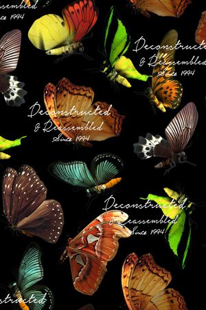 蝴蝶印花华亿平台图片