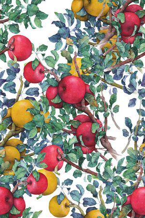 春夏华亿平台印花华亿平台图片