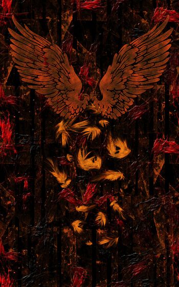 羽毛印花华亿平台图片